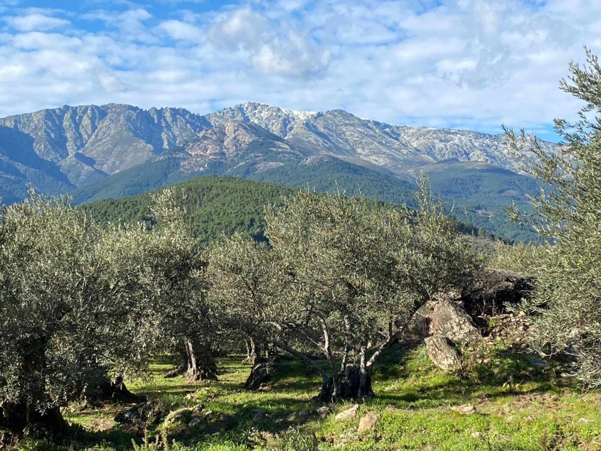 Hébergement de vacances Olivar De Gredos *