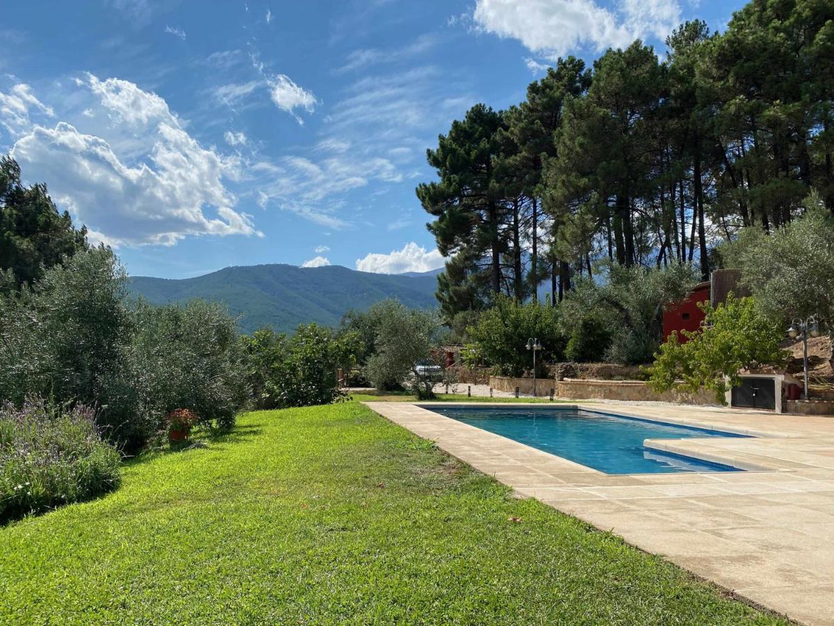 Olivar De Gredos