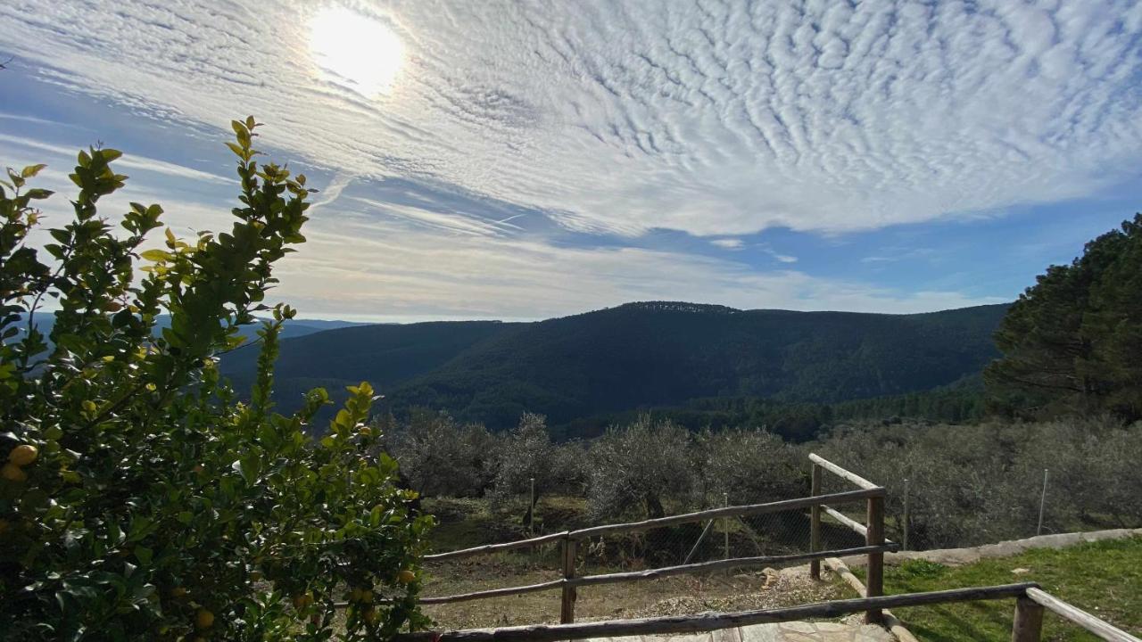 Olivar De Gredos Hébergement de vacances